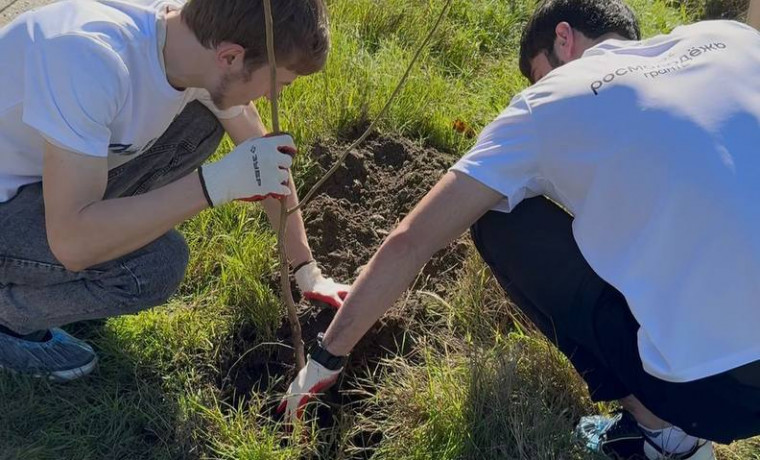 Активисты клуба «Путин» провели акцию по посадке саженцев в рамках проекта «ЭкоПрогресс»