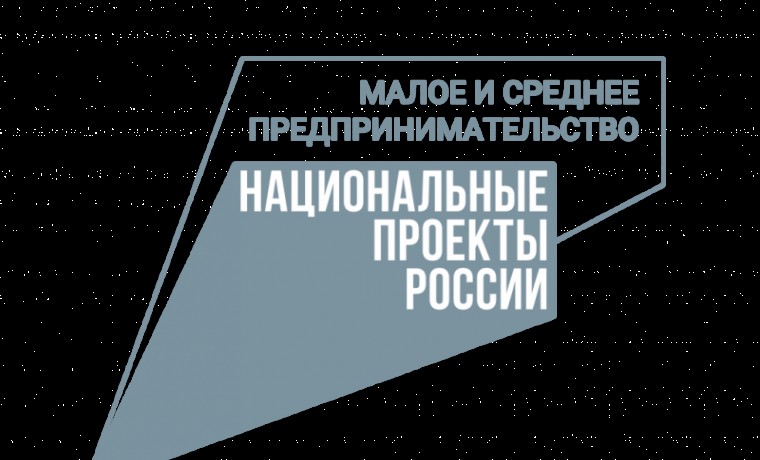 Благодаря нацпроекту в Курчалоевском районе открываются новые коммерческие объекты