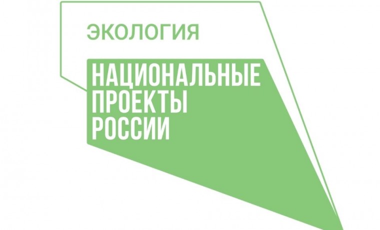 Владимир Путин поручил разработать нацпроект "Экология"