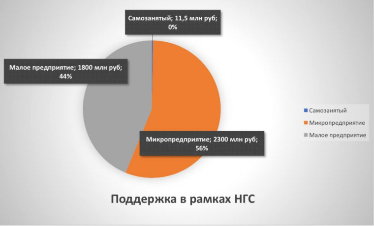 Итоги реализации в Чеченской Республике нацпроекта "МСП"