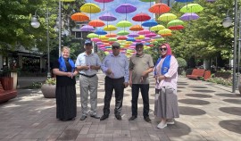В ЧР прошли патриотические акции «Единой России» ко Дню государственного флага России