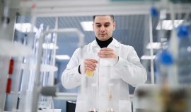 В России утвердили план мероприятий по развитию природоподобных технологий