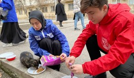 Молодогвардейцы Чеченской Республики накормили бездомных кошек