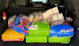 Россельхознадзор по ЧР поддержал благотворительную акцию «Помоги коту пережить зиму»