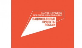 Почти 800 млрд рублей получил малый и средний бизнес под поручительства НГС за 9 месяцев этого года