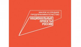 Правительство обозначило приоритеты развития сектора МСП до 2030 года