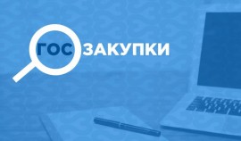 Правительство РФ установило особенности осуществления госзакупок в новых субъектах РФ