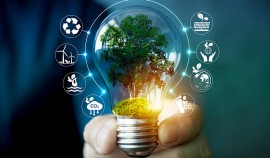 Работники лесничеств Чеченской Республики обеспечивают охрану природных ресурсов в зимний период