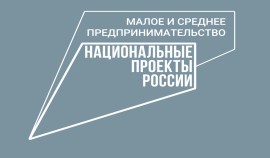 ЧР досрочно достигнуты результаты по количеству выданных микрозаймов по итогам 9 месяцев 2024 года