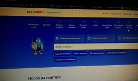 Жизнь без Госуслуг: мнение эксперта