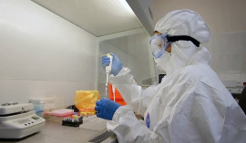 Распространенный в России вариант штамма дельта получил название AY.122