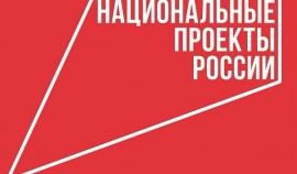 Россияне через QR-коды смогут пожаловаться на состояние больниц и школ