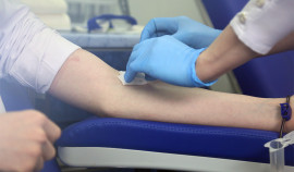 В Грозном проходит донорская акция «Мы вместе»