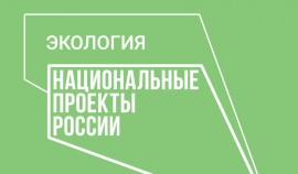 В Ачхой-Мартановском районе прошла акция «Зелёная планета»