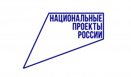 В ЧР объем финансовой поддержки предпринимателей за 2024 составил 12,5 млн рублей