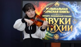 Концерт «Звуки стихии» в Чеченской Республике: музыкальное путешествие к экологии и охране природы
