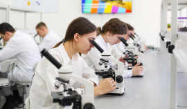 Колледжи и техникумы «Профессионалитета» начнут приемную кампанию 20 июня