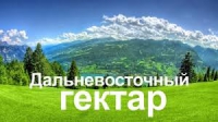 Владимир Путин подписал закон о бесплатном "дальневосточном гектаре"