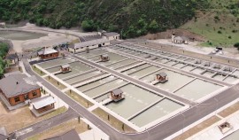 Чеченскую Республику с рабочим визитом посетил министр сельского хозяйства РФ Дмитрий Патрушев