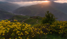 Стартовал уникальный проект 