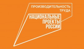 ЧР вошла в лидирующую подгруппу среди регионов по нацпроекту «Производительность труда»