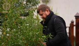Рамзан Кадыров показал урожай гранатов со своего сада и рассказал о пользе труда на земле
