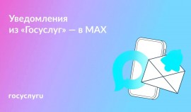 Проверяйте статусы заявлений на Госуслугах в мессенджере MAX