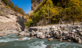 Влияние водоемов на здоровье лесов: важность воды для экосистемы