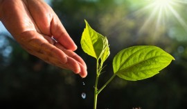 Нацпроект «Экологическое благополучие»: итоги 2025 года и планы на 2026