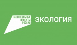 Перспективы национального проекта «Экология»