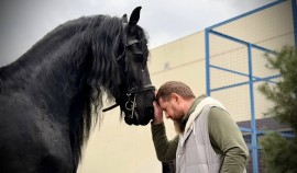 Рамзан Кадыров про лошадей: «Они тонко чувствуют человека и требуют уважительного отношения»