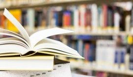 Министерство просвещения России разработало новый курс обществознания для школ