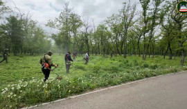Грозный присоединился к Всероссийским субботникам