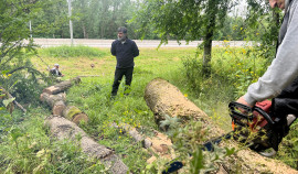 В Шалинском лесничестве ведутся работы по очистке лесных участков от поваленных деревьев и веток