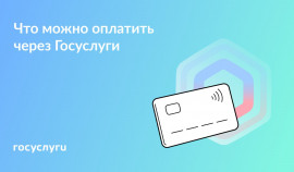 Что можно оплачивать на портале Госуслуг