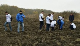 В Шелковском районе высажено 2000 деревьев в рамках нацпроекта «Экология»