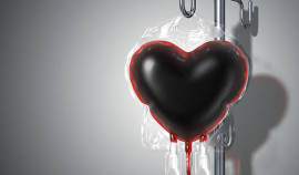 В Шелковском районе прошла акция «Донорство крови — акт солидарности»