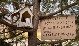 Всероссийская акция «Неделя добрых дел» стартовала с инициативы по экологии и зооволонтёрству