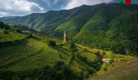 В Чеченской Республике утвердили план Года горных районов и развития МСП: Свыше 330 мероприятий
