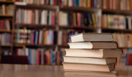 В Шатойском районе прошла акция «Книжные жмурки» в рамках нацпроекта «Семья»