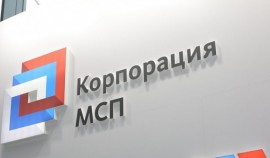 В Чеченской Республике самый большой прирост субъектов МСП по итогам первого месяца 2026 года