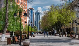 Свыше 17 тысяч жителей ЧР стали участниками Всероссийского онлайн голосования