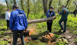 Активисты и студенты объединяются для очистки памятника Вечной Славы