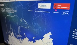 Более 45 тысяч жителей Чеченской Республики проголосовали за кандидатов «Единой России»