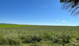 В Грозненском районе выявлено нарушение земельного законодательства на участке 48 га| грозный, чгтрк