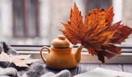 Как ноябрьские праздники отразятся на зарплате и выгодно ли продлевать их отпуском