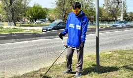 Активисты провели субботники в Грозном в честь памяти героев Гражданской войны