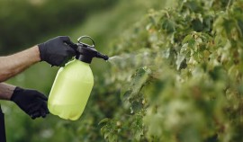 В ЧР прошли контрольные мероприятия Россельхознадзора в области применения пестицидов