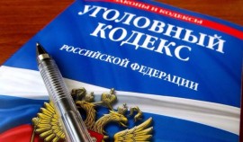 Владимир Путин предложил пересмотреть часть норм уголовного законодательства России