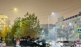 АО «Чеченэнерго»: 20 ноября будет остановлена подача электроэнергии в части региона